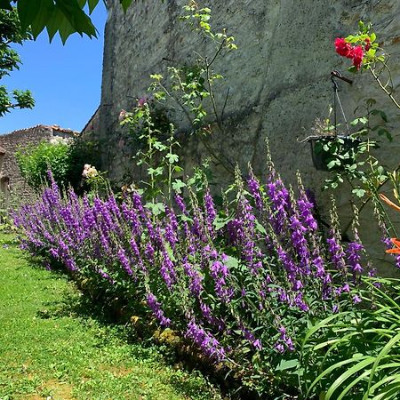 مبيت وإفطار The Cool Lounge A Coulonges - Charente المظهر الخارجي الصورة