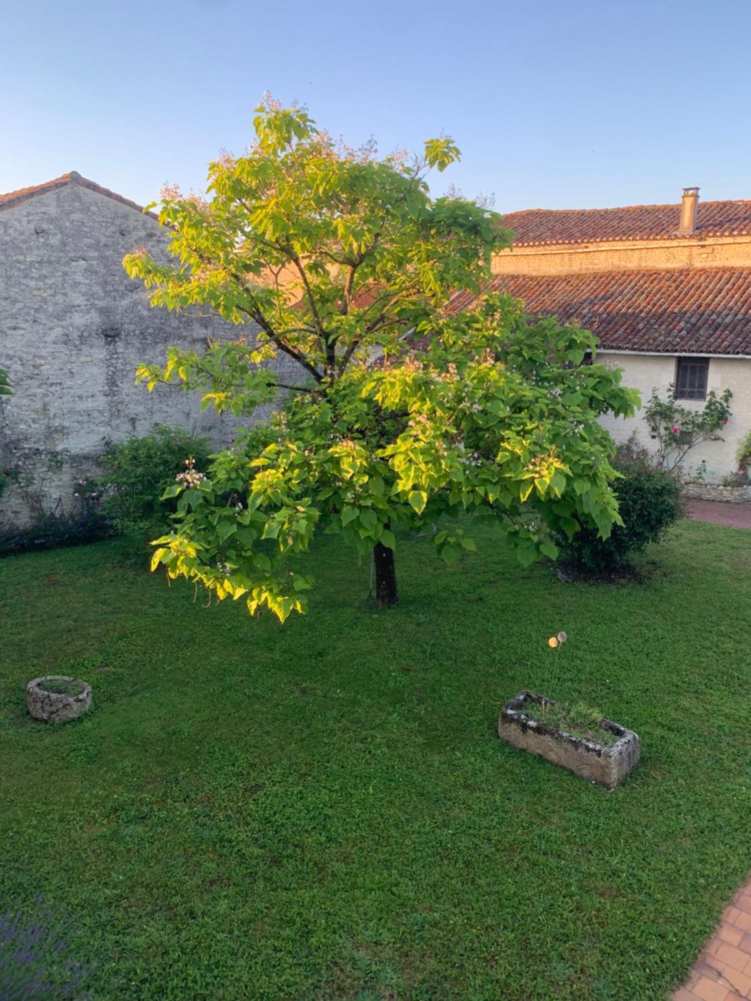 مبيت وإفطار The Cool Lounge A Coulonges - Charente المظهر الخارجي الصورة