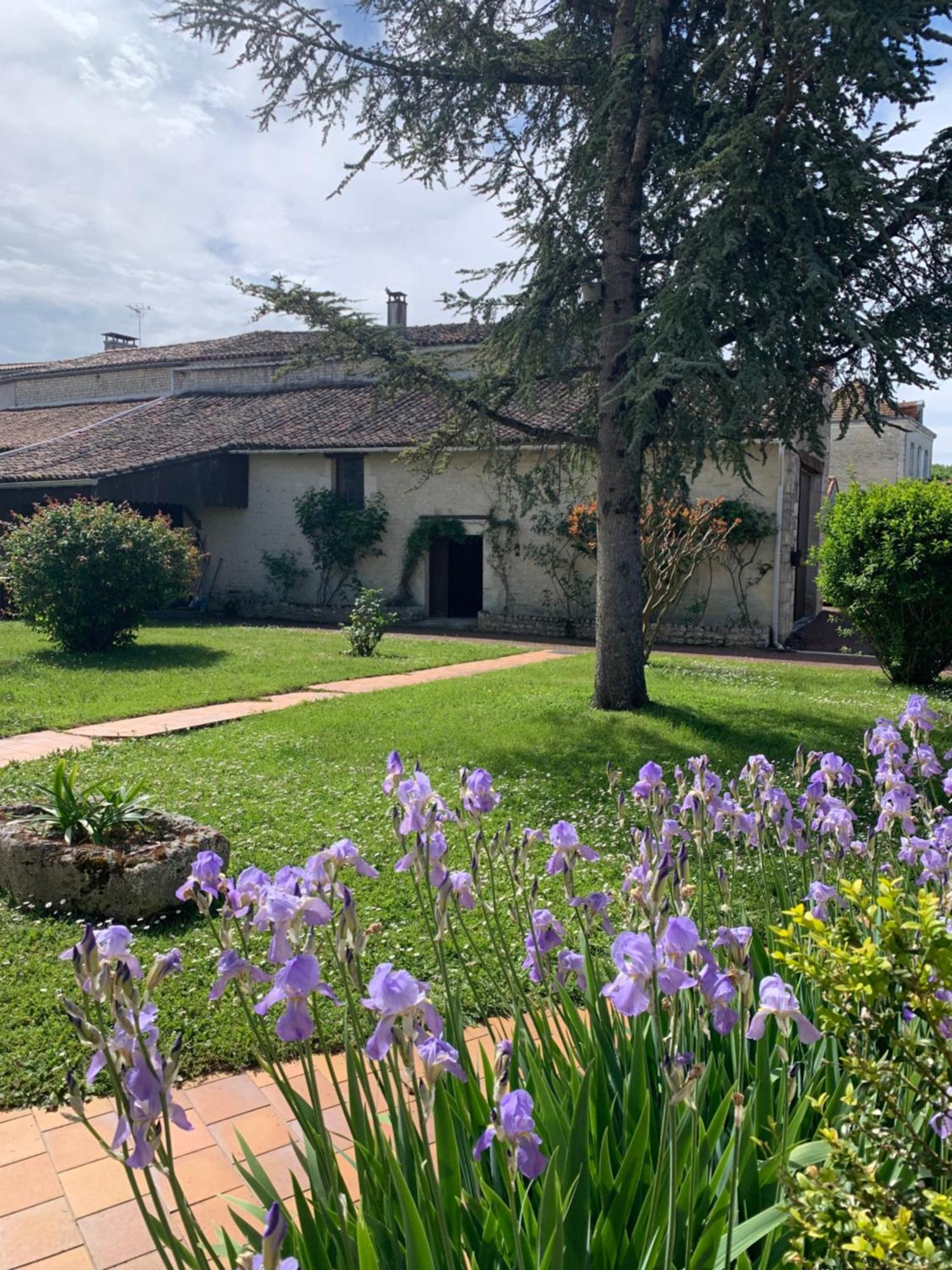 مبيت وإفطار The Cool Lounge A Coulonges - Charente المظهر الخارجي الصورة