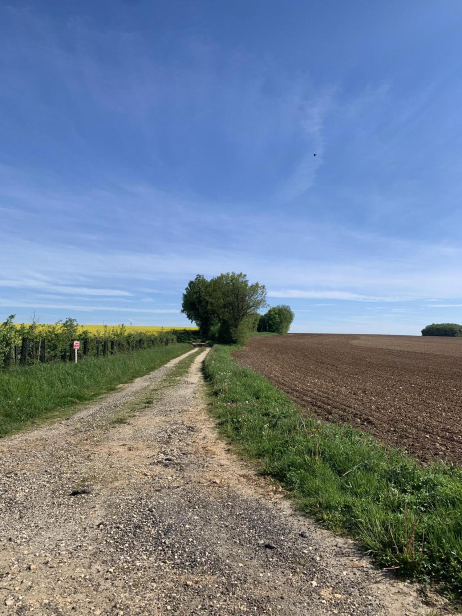 مبيت وإفطار The Cool Lounge A Coulonges - Charente المظهر الخارجي الصورة