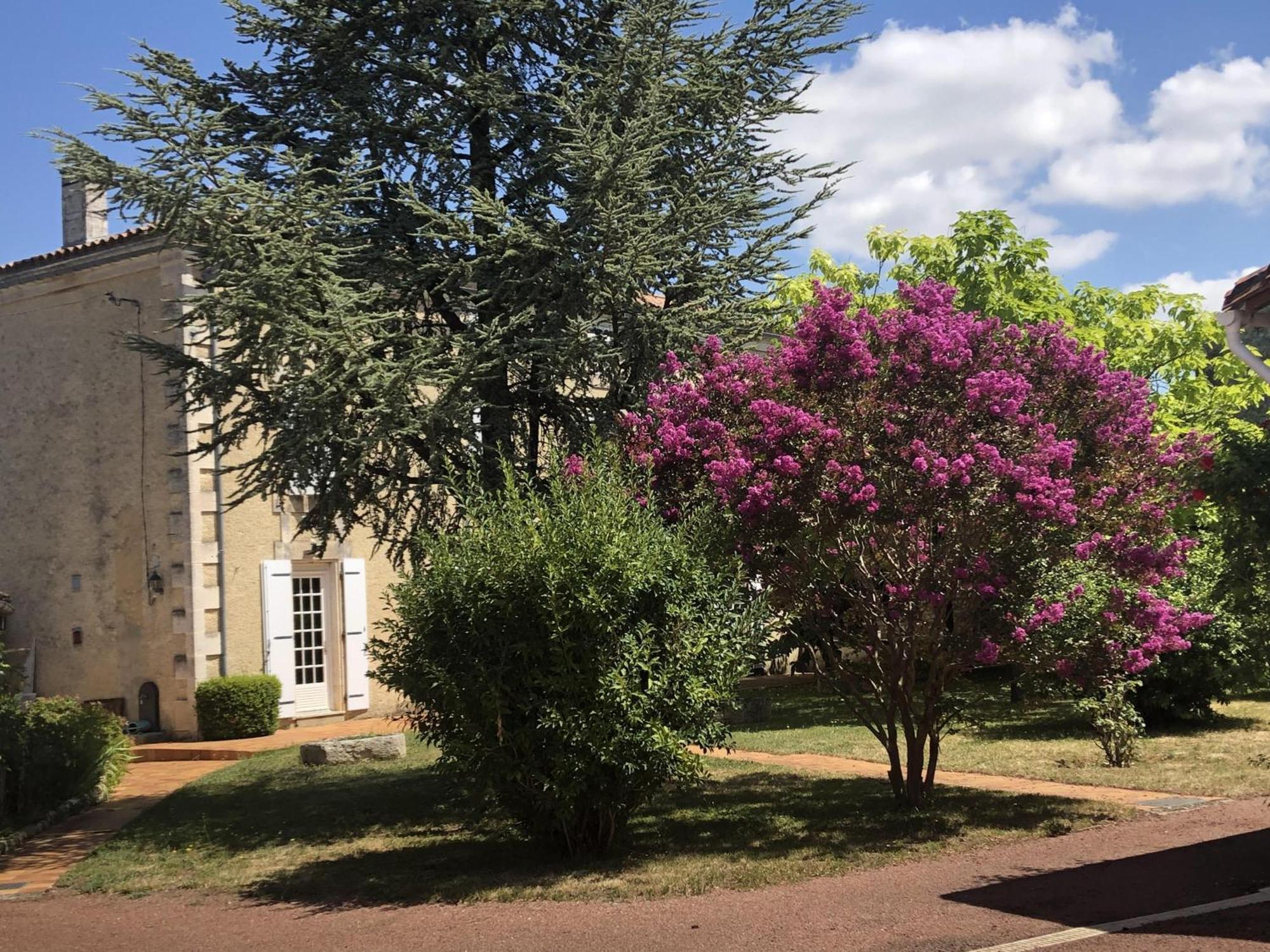 مبيت وإفطار The Cool Lounge A Coulonges - Charente المظهر الخارجي الصورة
